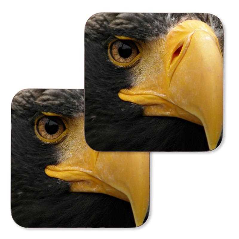 Sas madár 22 poháralátét - 2 db - eMAG.hu