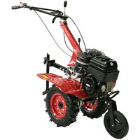 Motosapa pe benzina Bronto WMA 500, motor Briggs & Stratton, putere 6 CP, 4.4 KW, 205 CC, 4 timpi, 2+1 viteze, latime lucru 80 cm, contine: freze + roti cauciuc 4.00-8 agro