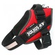 Julius K9 IDC Powerhám, XL, 28-40 kg, Piros