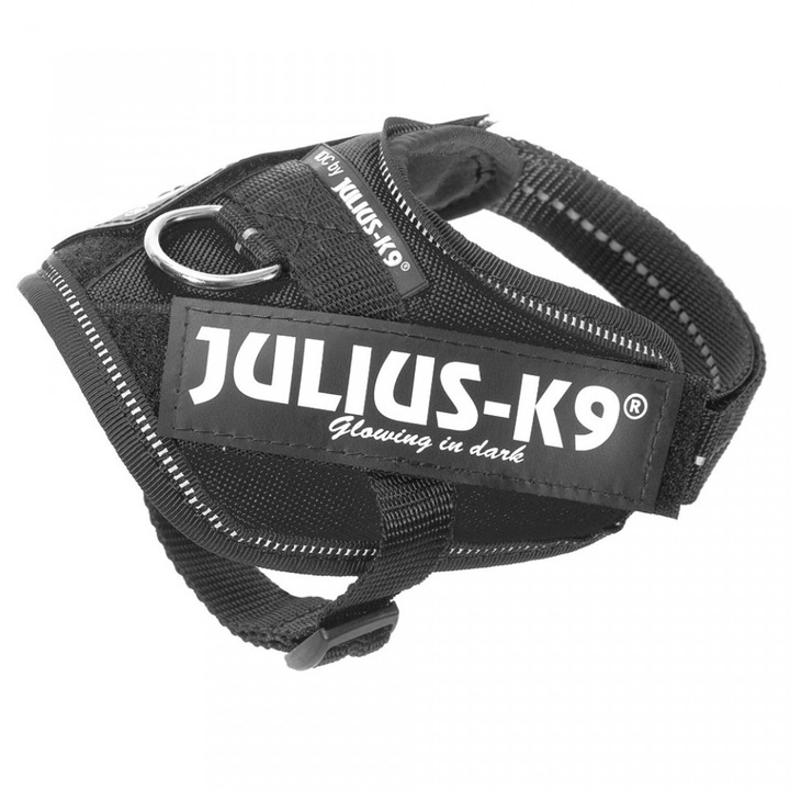 Julius K9 IDC Power hám kölyökkutyáknak, kicsi méret, 2-5 kg, fekete