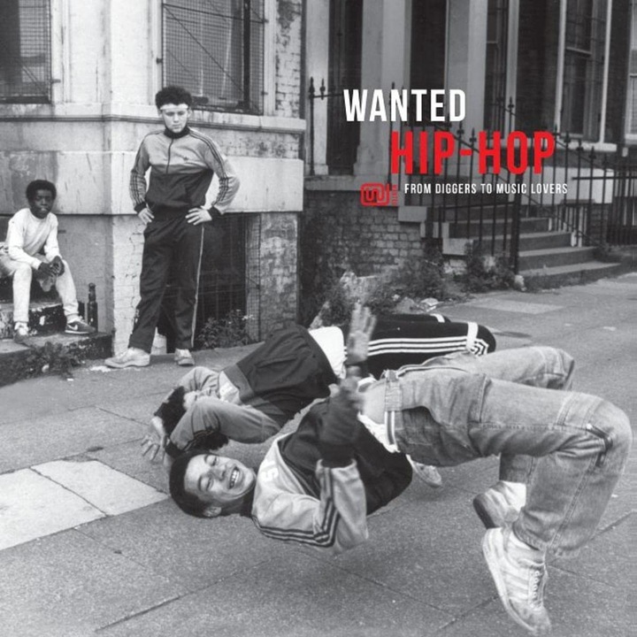 Various Artists - Wanted Hip-Hop - Vinyl