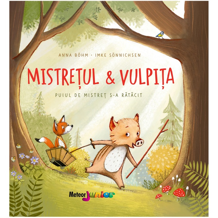 Mistretul & vulpita. Puiul de mistret s-a ratacit, Anna Bohm, Imke Sonnichsen