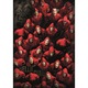 Puzzle Clementoni - La Casa de Papel, 1000 piese