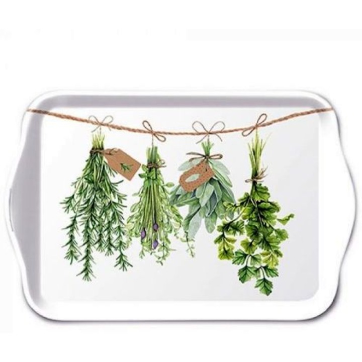 Tava, Ambiente, Plastic, 13x21cm, Alb/Verde