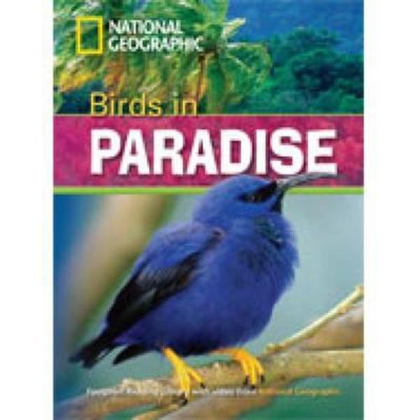 Birds in Paradise