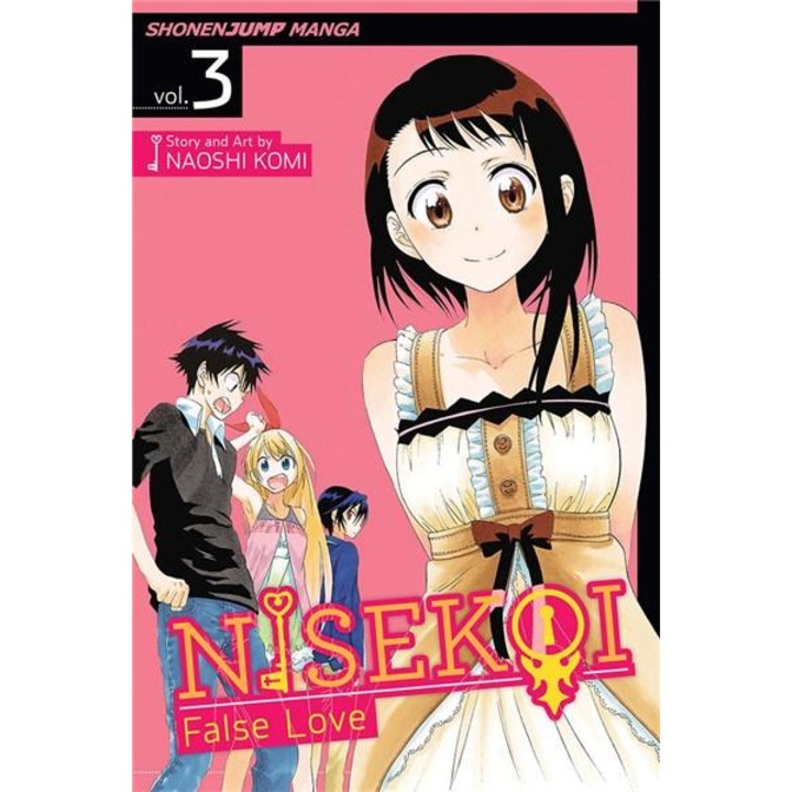 Nisekoi: False Love Vol. 3 - What's in a Name? - Naoshi Komi