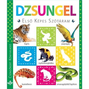 Szépirodalom
