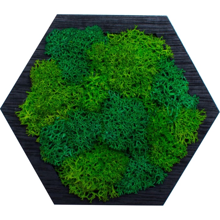 Декоративен елемент Shape Hexagon, Персонализиран с лишеи, 15x13см