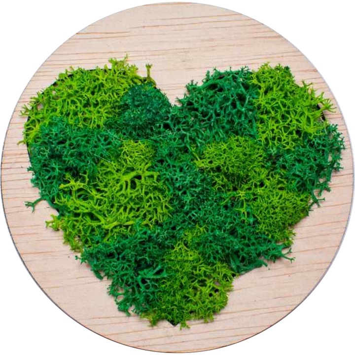 Декорация сърце HH1544 от дърво Персонализирано с лишеи 20x20 см