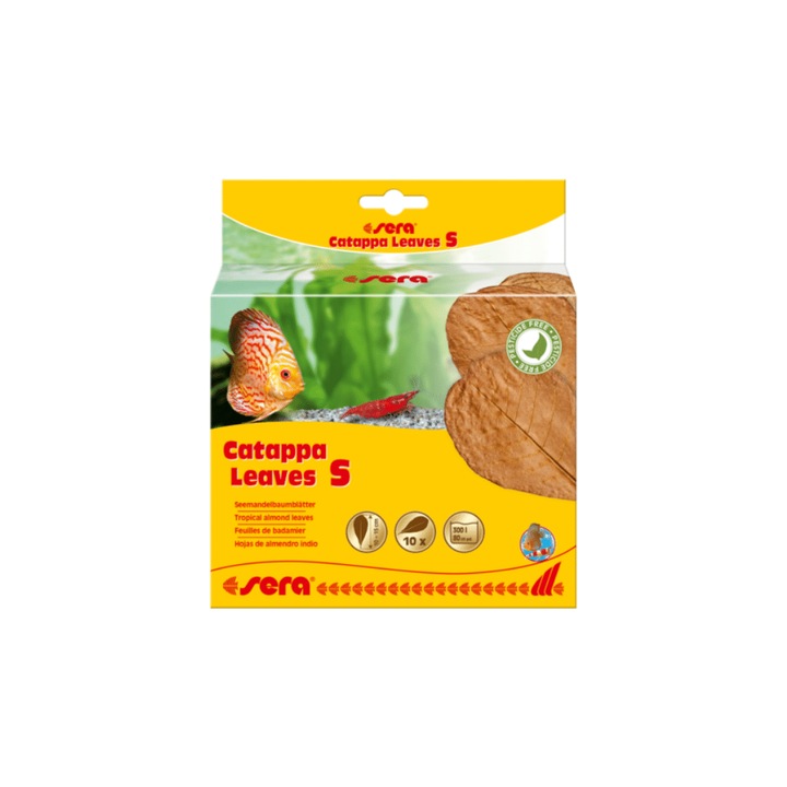 Frunze de Catappa, Sera Catappa Leaves - M