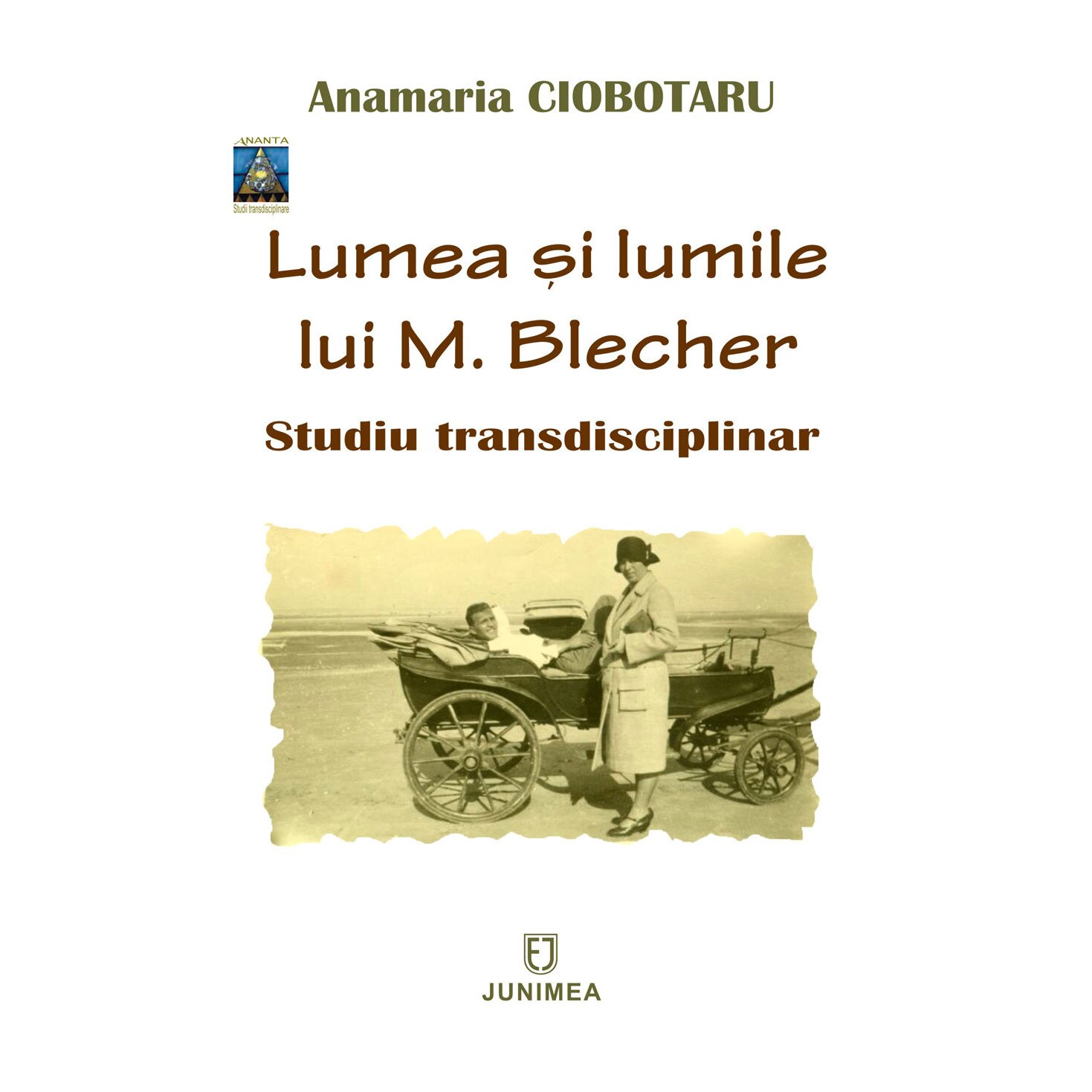 Lumea si lumile lui M. Blecher - Anamaria Ciobotaru