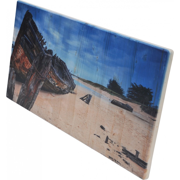 Tablou pe lemn | Epava de pe plaja.