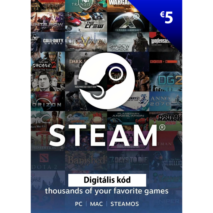 Steam 5€ elektronikus licensz