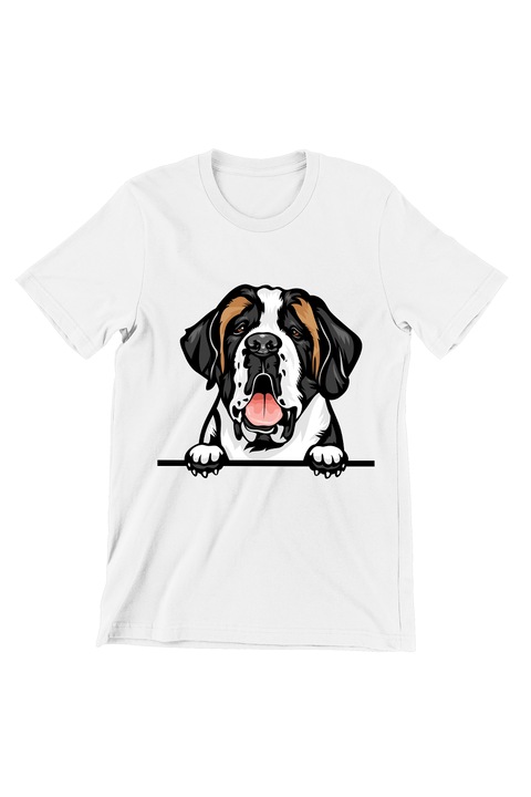 Тениска за мъже, кучета, Hello Saint Bernard, нормална кройка, памук, Бял