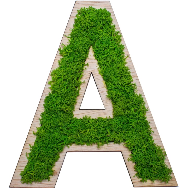 Litera din lemn HH1545 cu Licheni 22x25 cm