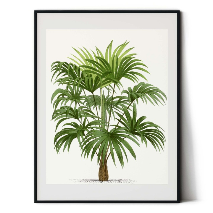 Tablou decorativ, Intaglio, Modern, color, Copac de palmier verde, print pe hartie foto Fine Art, neinramat, pentru hol, baie 70 cm x 50 cm