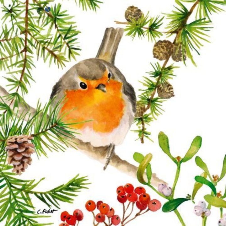 Servetel hartie Robin in Tree 33x33cm, 20 buc