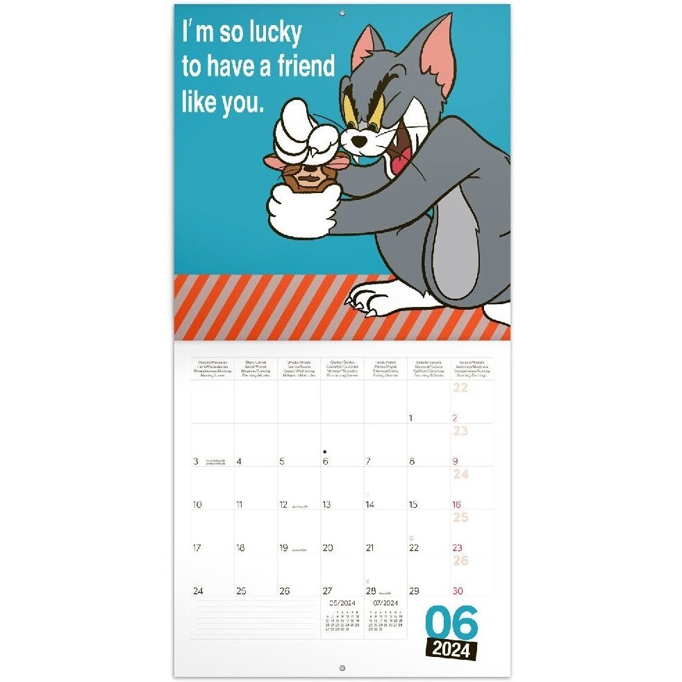 Calendar de perete, Realsystem, 2024, Model Tom and Jerry, Multicolor