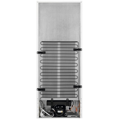 Frigider cu o usa Electrolux LRB1DE33W, 309 l, Clasa E, Control electronic, Iluminare LED, Ventilator, Usa reversibila, H 155 cm, Alb