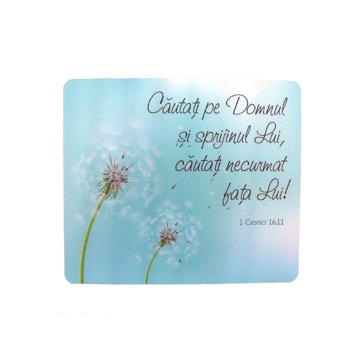 Suport pentru mouse cu 1 cronici 16:11, 24x20 cm