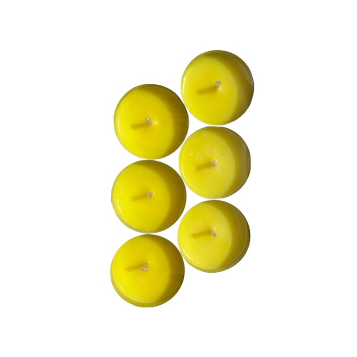 Set lumanari anti-tantari, tip pastila, din ceara naturala de soia, handmade, 6 buc, 115 g, culoare ambalaj argintiu