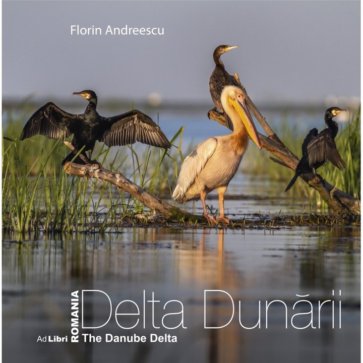 Album Delta Dunarii, Florin Andreescu, Ad Libri