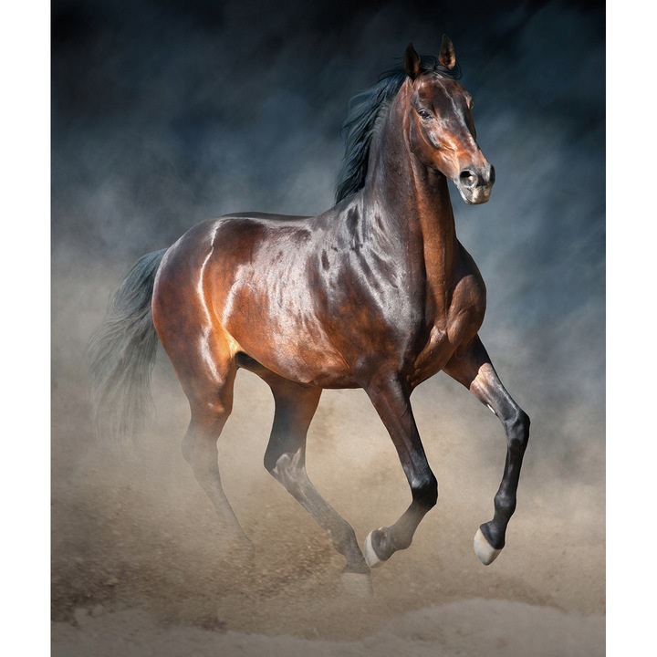 Fototapet Cal Animale 416x290 cm, Modern Vlies Tapet, Pentru Dormitor Camera De Zi Living