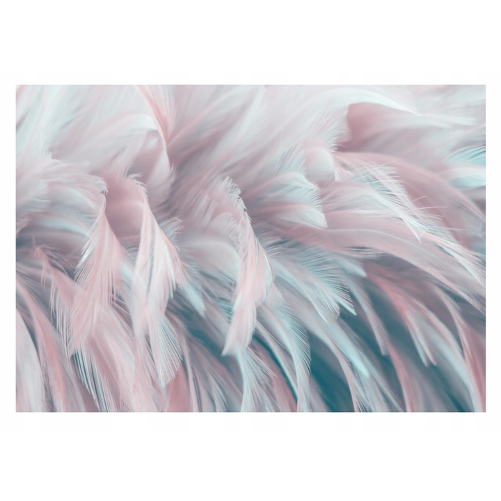 Feather Design Tapéta 312x219 cm, Modern Vlies Tapéta, Hálószoba Nappaliba Nappali