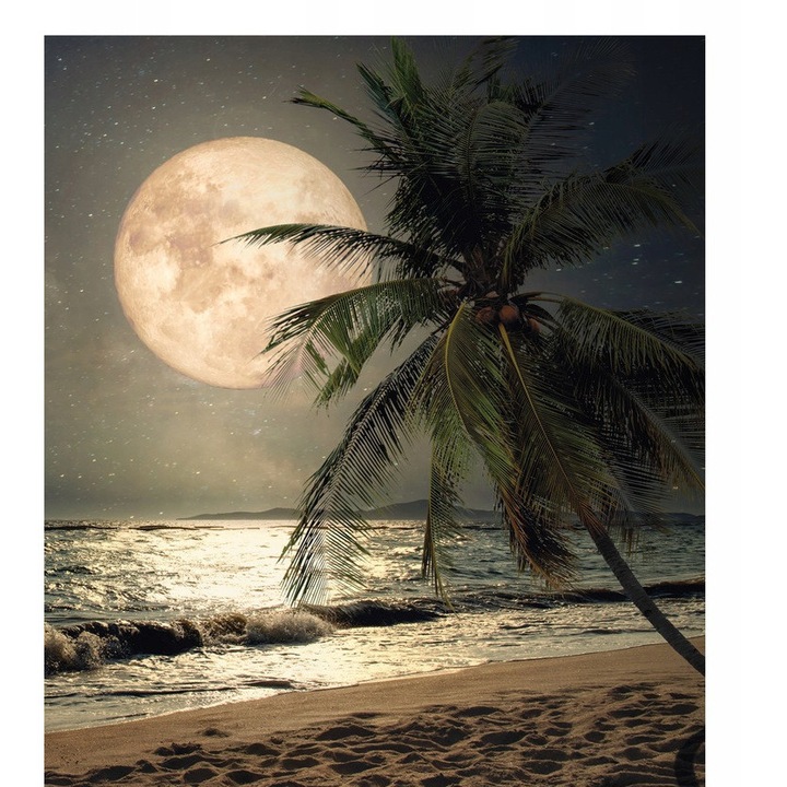 Fototapet Plaja Mare Palmeri Cer 312x219 cm, Modern Vlies Tapet, Pentru Dormitor Camera De Zi Living