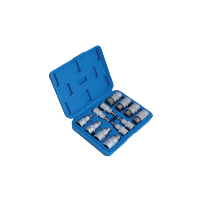 Trusa de biti, hexagon, 12 elemente 1/2 ", H 5, 6, 7, 8, 10, 12, 14, 16, 17, 18, 19, 22 mm Satra