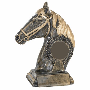 Cupe, trofee si medalii