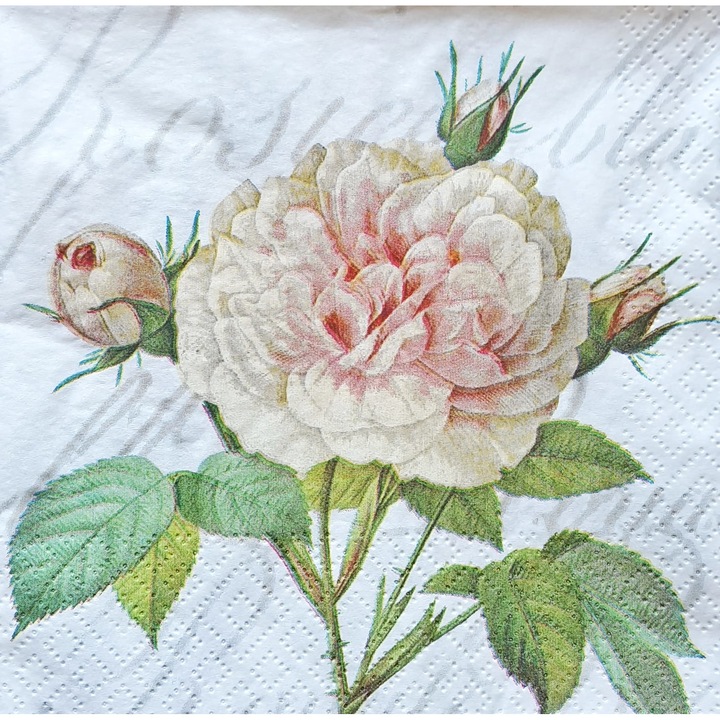 Set 20 servetele de masa 3 straturi, 33x33 cm, model Rose