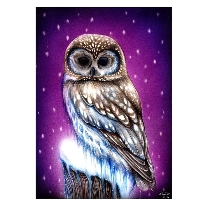 Set de broderie cu diamante 5d 30x40cm, Pictura 5D167, Multicolor