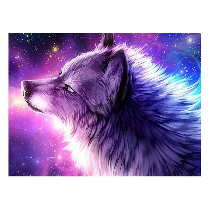 Set de broderie cu diamante 5d 30x40cm, Pictura 5D204, Multicolor