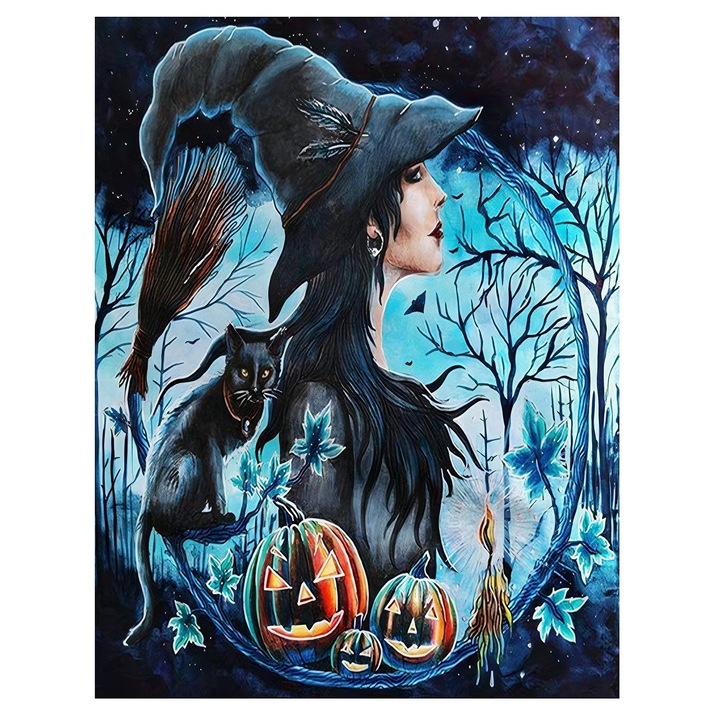 Set de broderie cu diamante 5d 30x40cm, Pictura 5D172, Multicolor