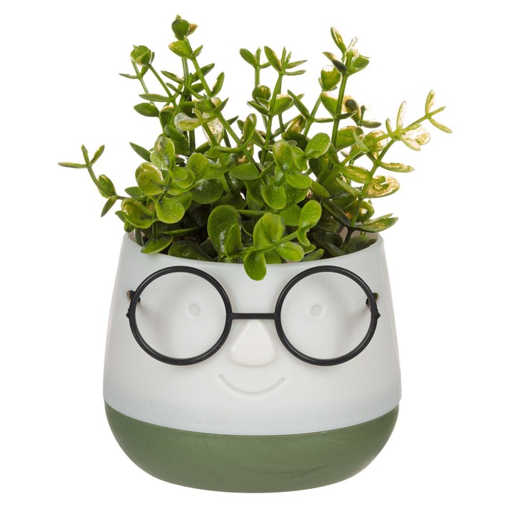 Planta decorativa in ghiveci cu ochelari, alb verde, 9,5x9,5x14 cm