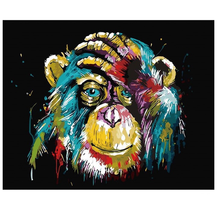 Set pictura pe numere, Maimuta, panza pe rama lemn 40x50 cm