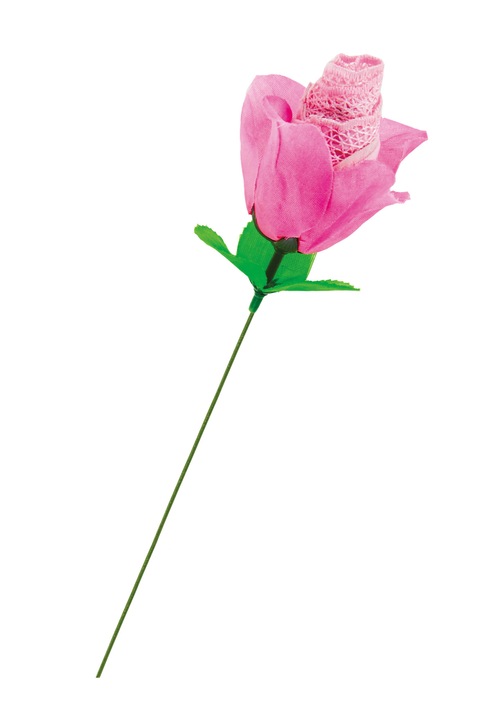 Chiloti, Erotica, Trandafir, Roz, S-L