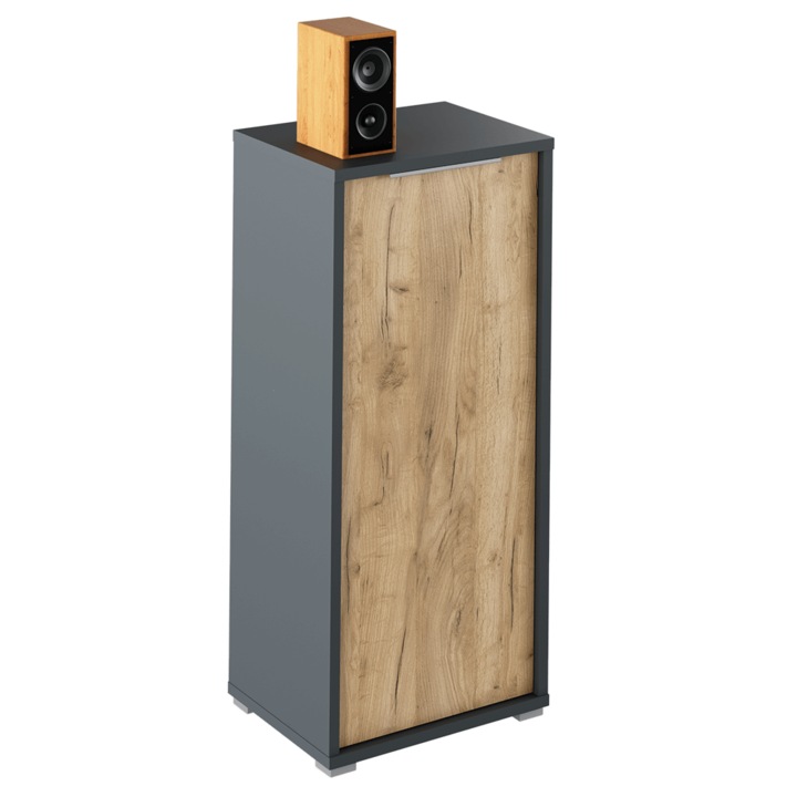 Dulap mdf grafit stejar artisan Rioma 50x38x112.2 cm