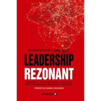 leadership rezonant imagen 3_0_
0
