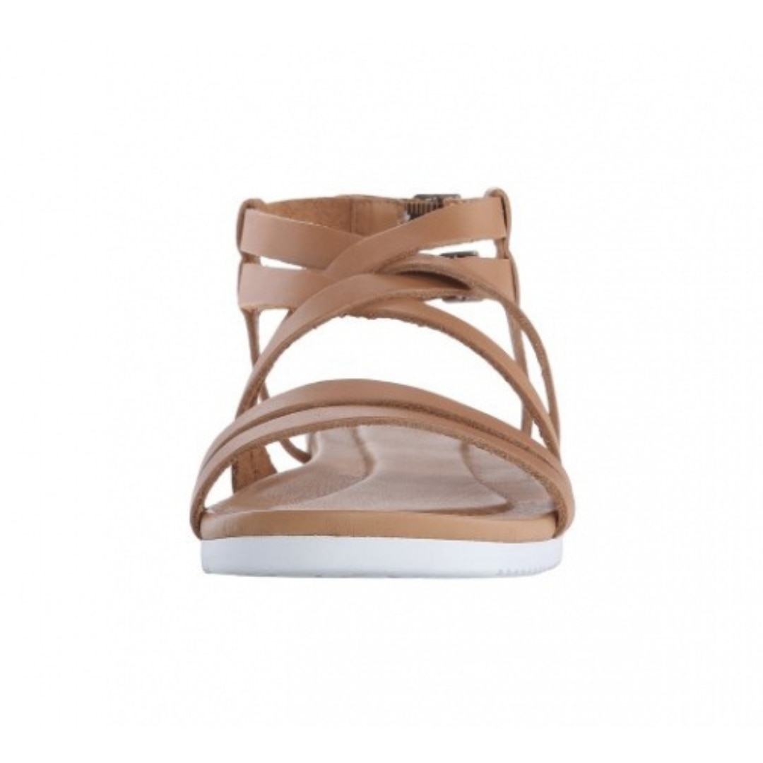 teva avalina crossover