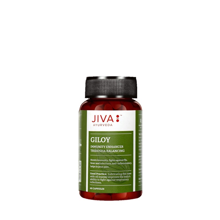Supliment sistem respirator Jiva, Giloy, 60 Capsule, 450 mg
