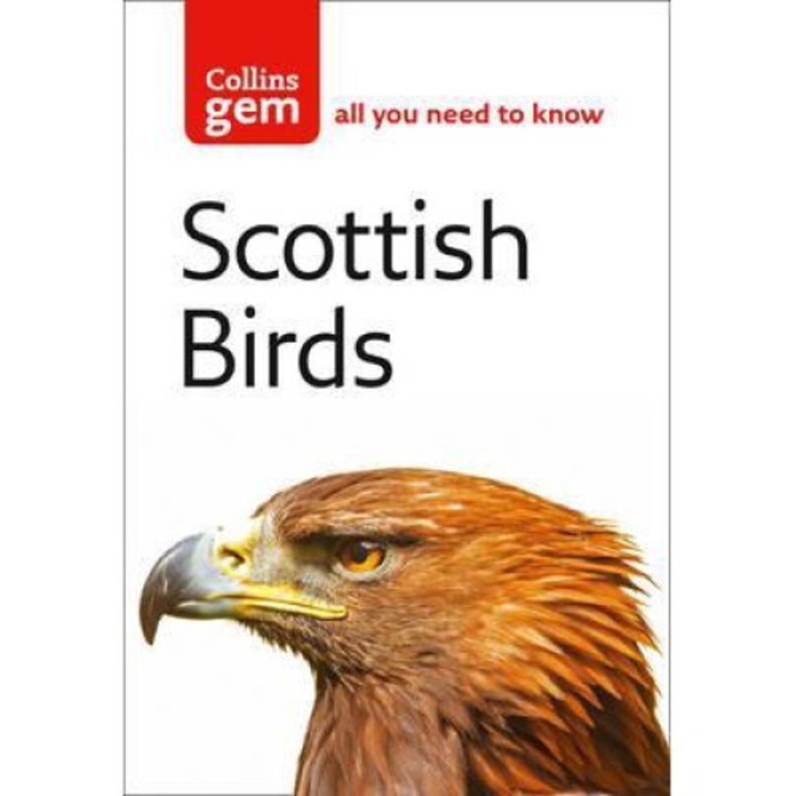 Scottish Birds - Valerie Thom