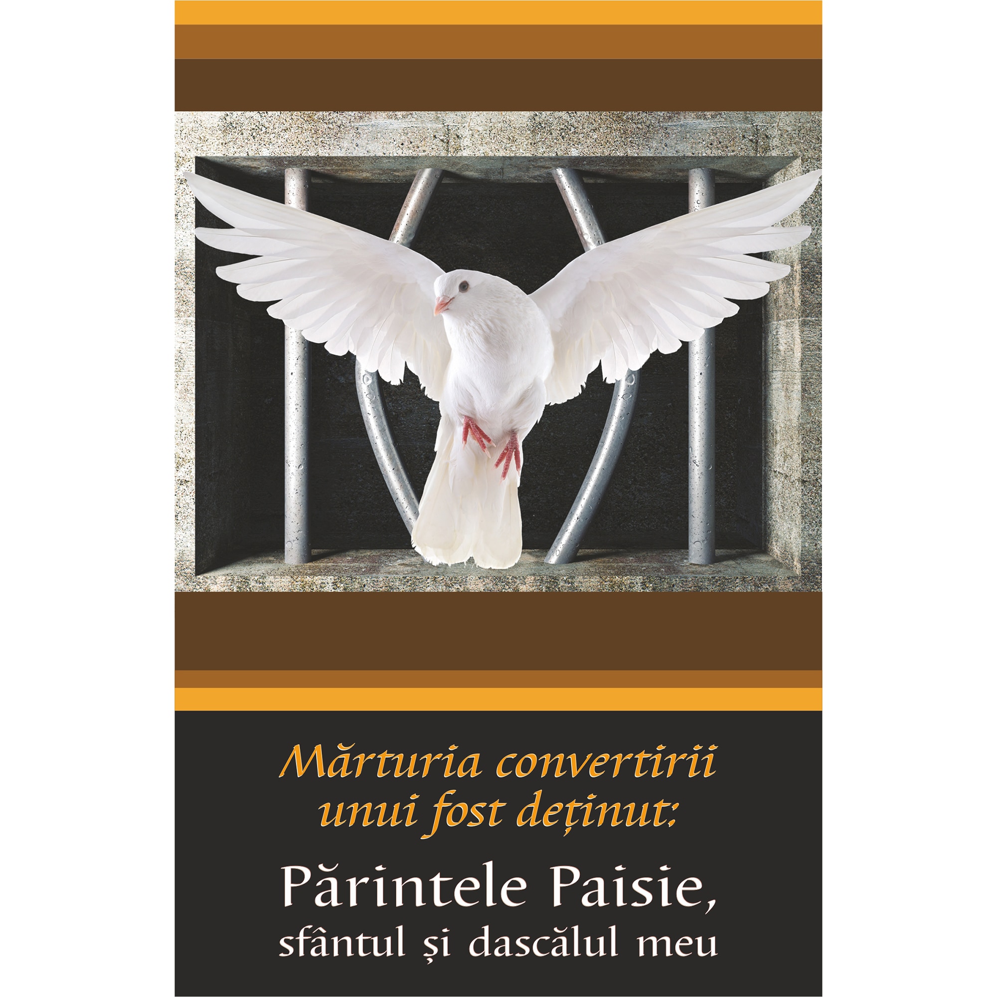 Marturia Convertirii Unui Fost Detinut: Parintele Paisie - M.Tadeu