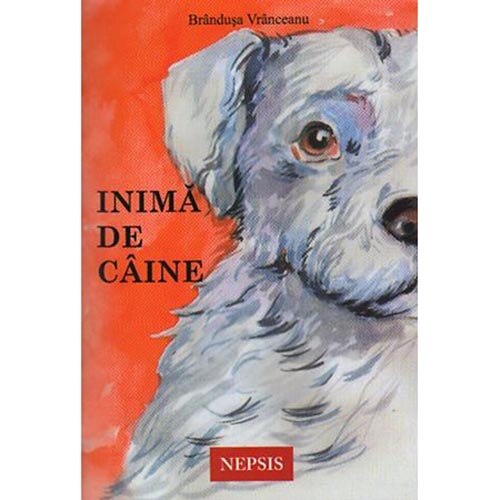 Inima de Caine - Brandusa Vranceanu