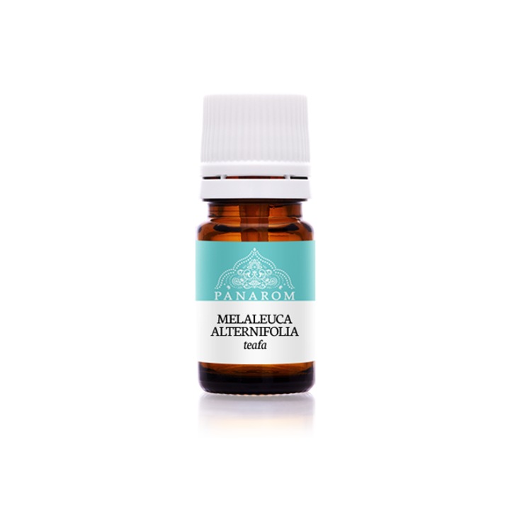 Ulei esential de arbore de ceai Panarom, 10 ml