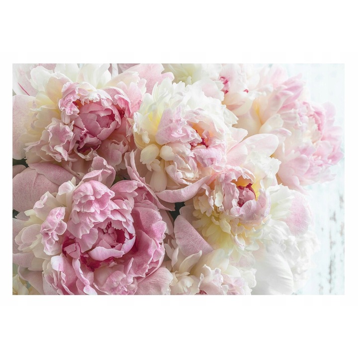 Fototapet Bujori Flori Trandafiri Floral Design 254x184 cm, Modern Vlies Tapet, Pentru Dormitor Camera De Zi Living Efect 3D Decorativ