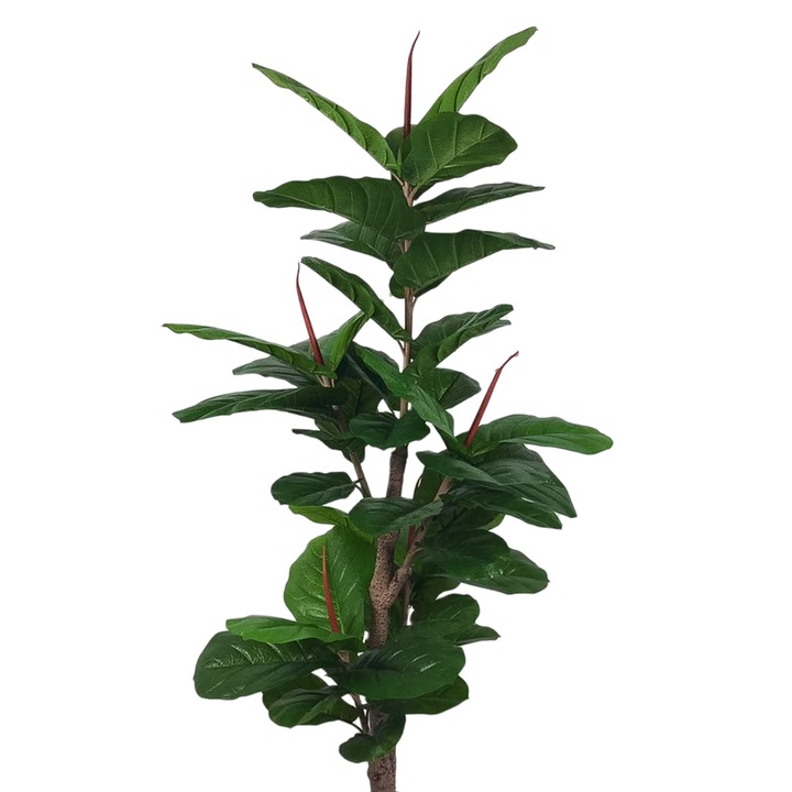 Planta artificiala, Ficus Pandurata fara ghiveci, Naimeed D4276, 165cm, verde