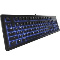 tastatura gaming steelseries apex 100 imagen 3_0_
0