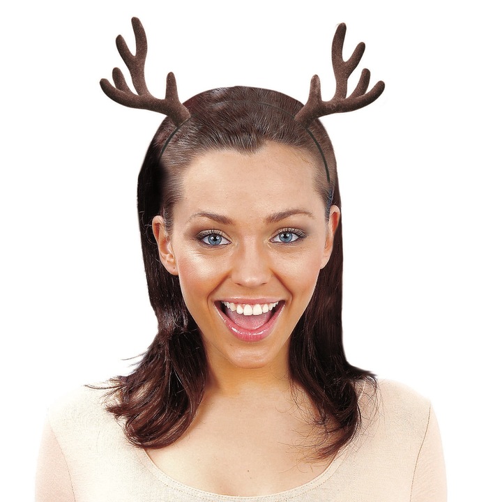 Coarne Ren Widmann 9538D